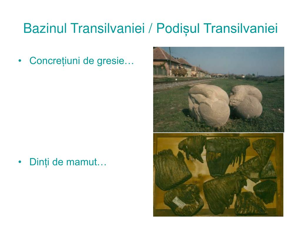 PPT - Peisajul din Pod ișul Transilvaniei de S ud și dezvoltarea sa sub  influența omului PowerPoint Presentation - ID:3772141