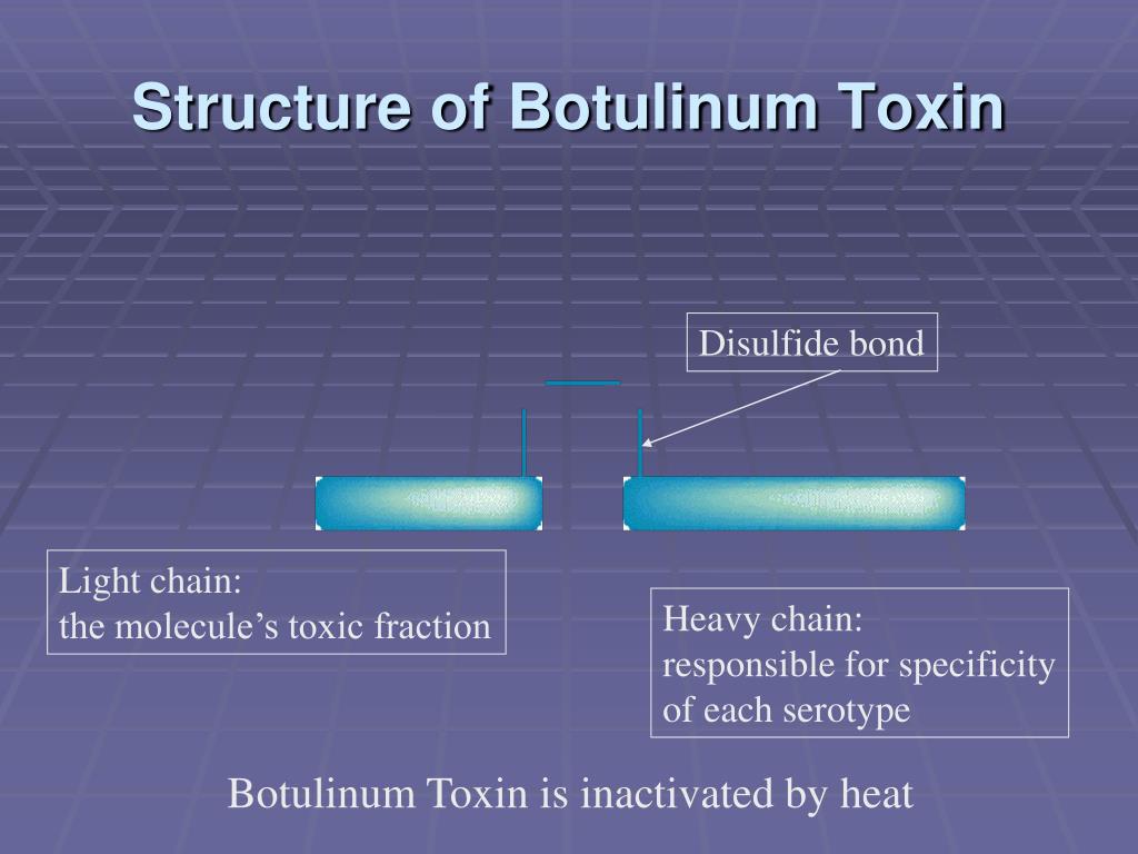 Ppt Botulinum Toxin Powerpoint Presentation Free Download Id3772577
