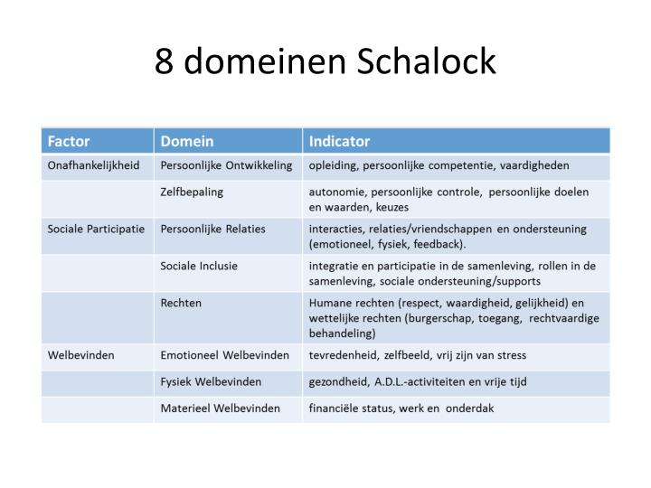 Schalock Questionnaire.pdf PPT - Werkmodel 8 domeinen van Schalock PowerPoint Presentation - ID ...
