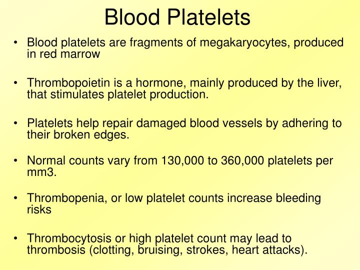 PPT BLOOD PowerPoint Presentation ID3774693