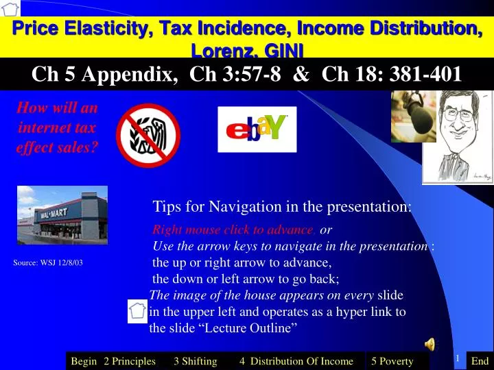 price elasticity tax incidence income distribution lorenz gini n.