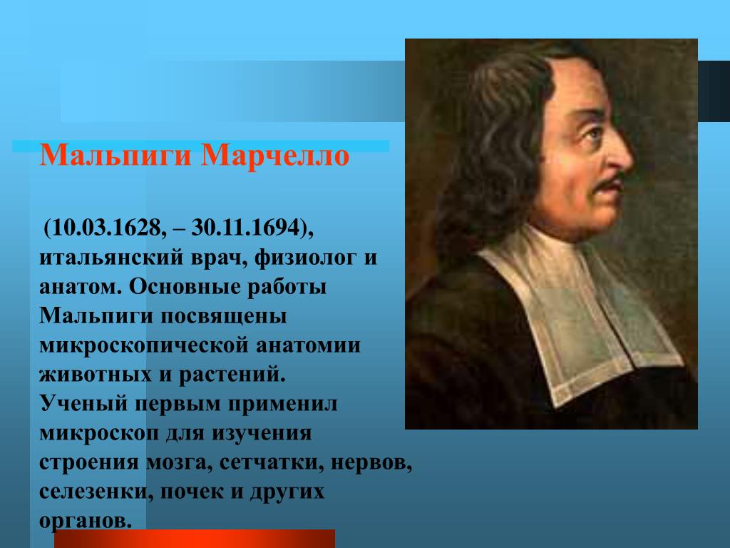 Известный ученый физиолог. Марчелло Мальпиги (1628—1694). Марчелло Мальпиги открытия. Мальпиги вклад в биологию. Марчелло Мальпиги итальянский биолог.