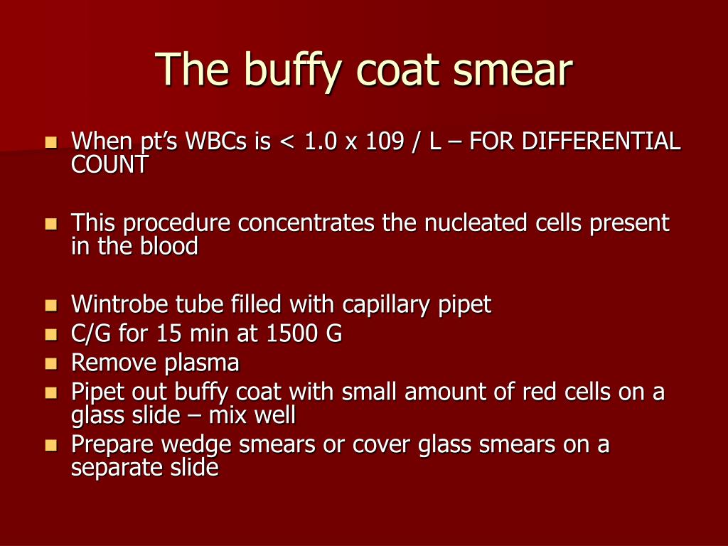 PPT - Preparation of Blood films (Making, Fixing &amp; Staining technique)  PowerPoint Presentation - ID:3775820