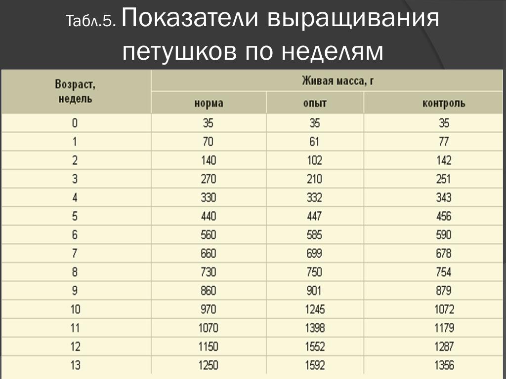 Показатели растут. Масса курица по неделям. Норма скидки с живой массы.