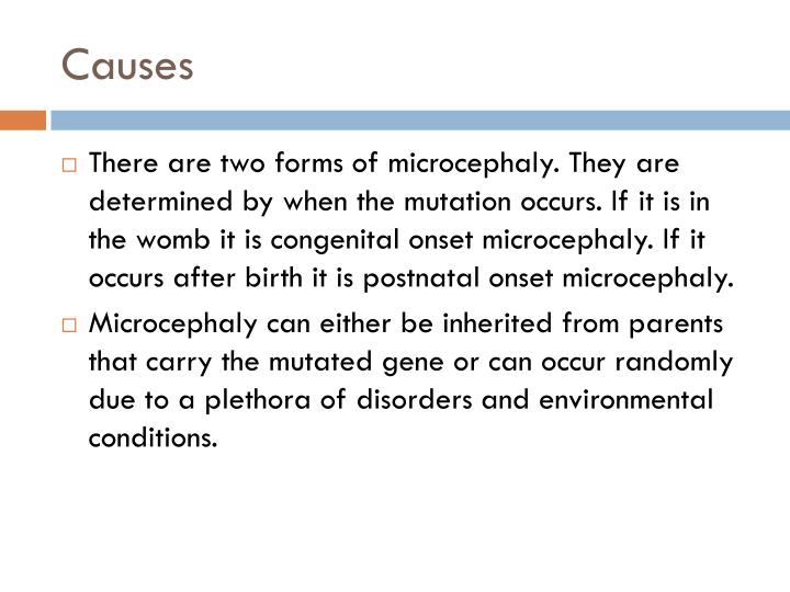 PPT - MICROCEPHALY PowerPoint Presentation - ID:3780061