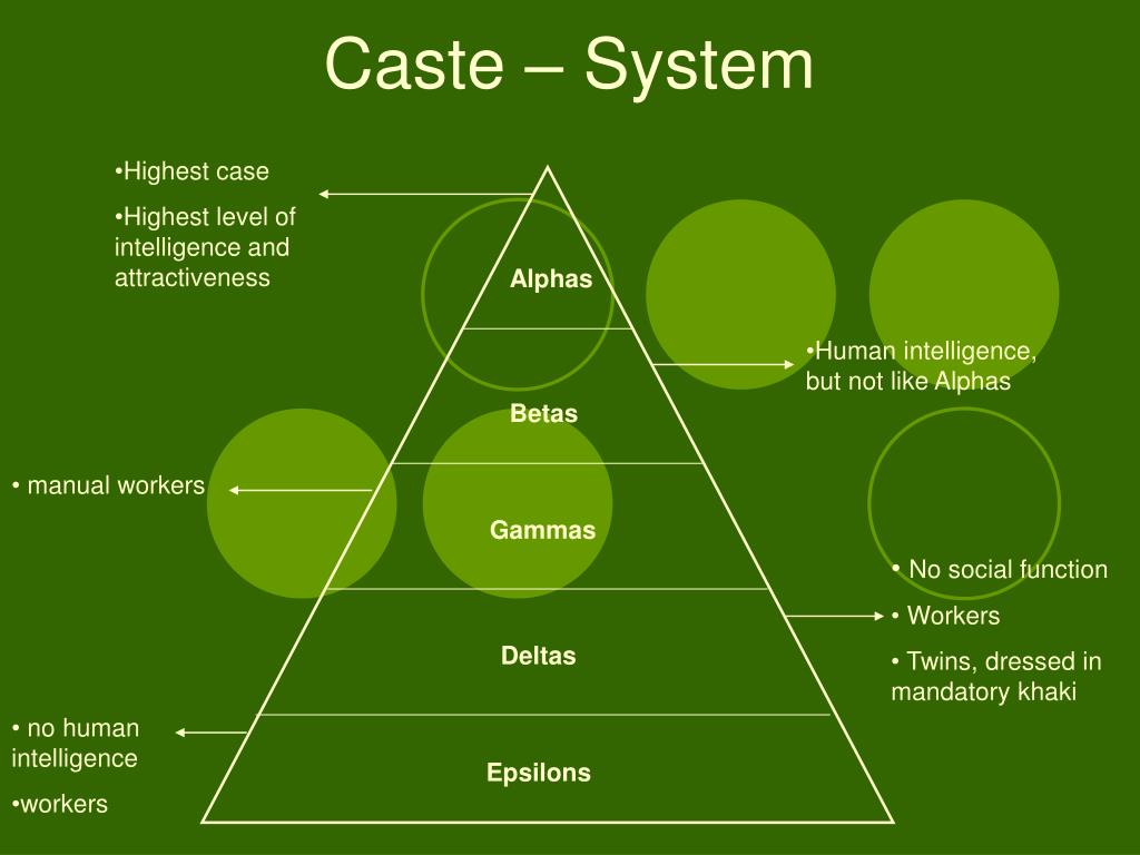 caste system brave new world essay