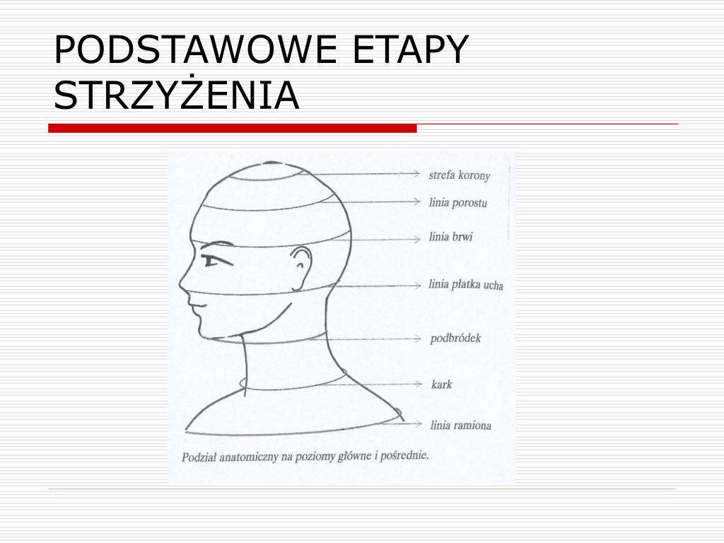 Podział Włosów Na Sekcje I Separacje PPT - PODSTAWOWE ETAPY STRZYŻENIA PowerPoint Presentation, free