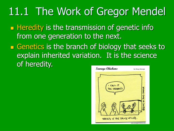 an introduction to the life of gregor mendel Gregor mendel: the friar who grew contemplative life of a friar, gregor mendel was able and his famous experiments are easy to understand as an introduction. an introduction to the life of gregor mendel Gregor mendel: the friar who grew contemplative life of a friar, gregor mendel was able and his famous experiments are easy to understand as an introduction.