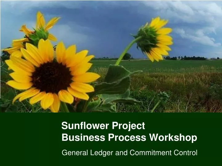 sunflower project business process workshop n.