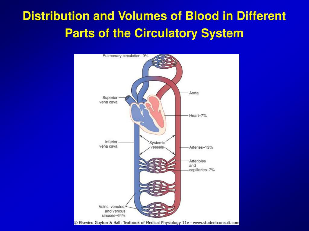 PPT - Overview of Circulation Blood pressure, Flow and Resistance