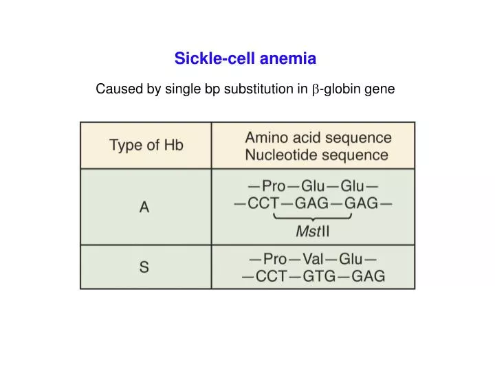 PPT Sicklecell anemia PowerPoint Presentation, free download ID
