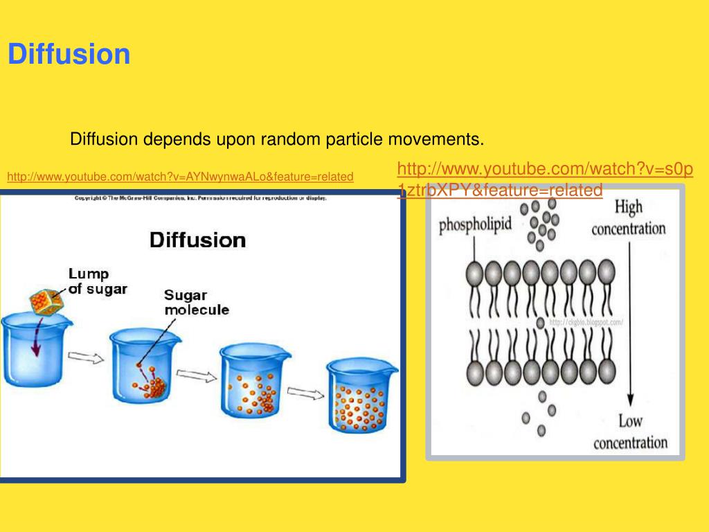 PPT Chapter 7 Cells PowerPoint Presentation, free download ID3785878