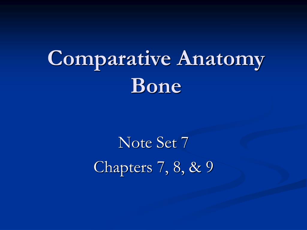 COMPARATIVE ANATOMY: PECTORAL GIRDLE OF REPTILE, BIRD AND MAMMAL