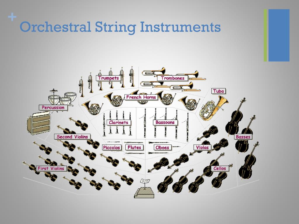 PPT The String Family PowerPoint Presentation Free Download ID 3789378 PPT The String Family PowerPoint Presentation Free Download ID 3789378