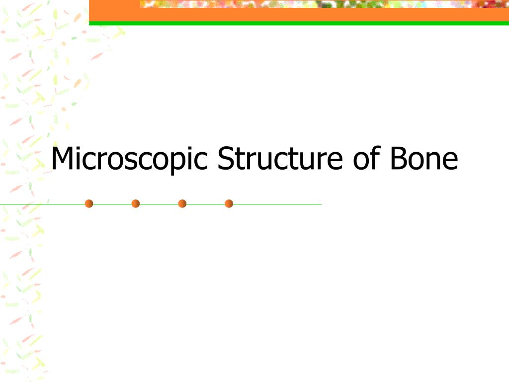 PPT - Microscopic Structure of Bone PowerPoint Presentation, free