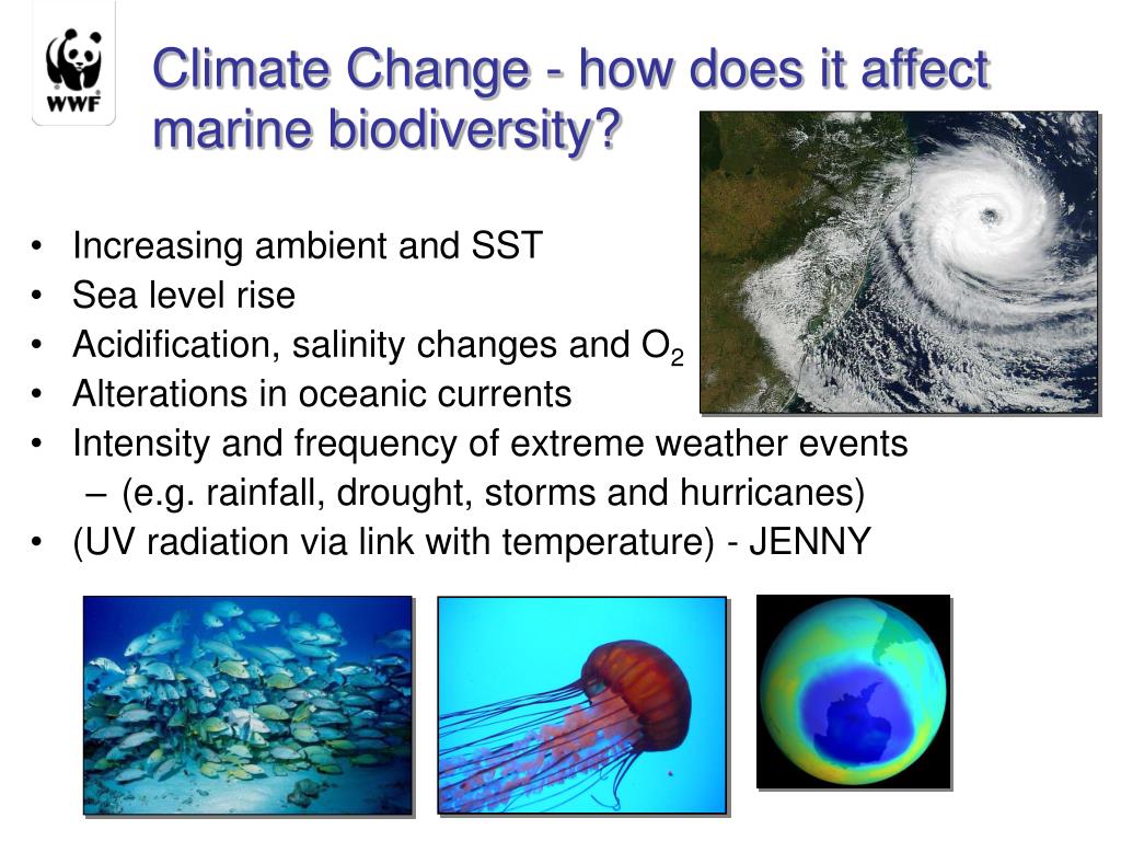 PPT - Climate Change Challenges to Marine Ecosystems in the Western ...