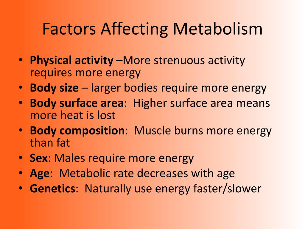 PPT - Food Energy & Basal Metabolic Rate PowerPoint Presentation - ID ...