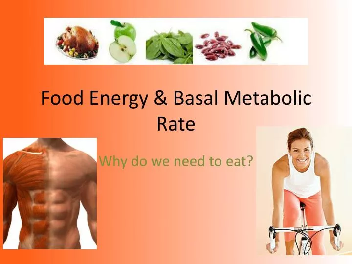 food energy basal metabolic rate n.