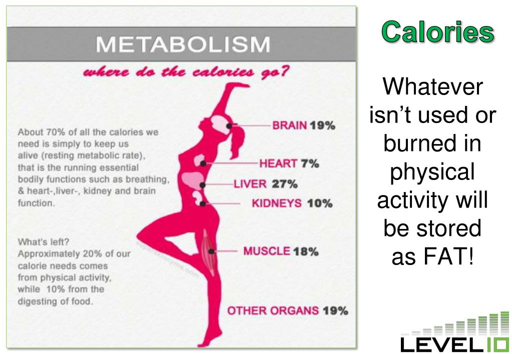 Сколько калорий тратит организм в покое. Обмен веществ. Сколько калорий тратится в бане. Сколько сжигает тело в состоянии покоя. График сжигания калорий.