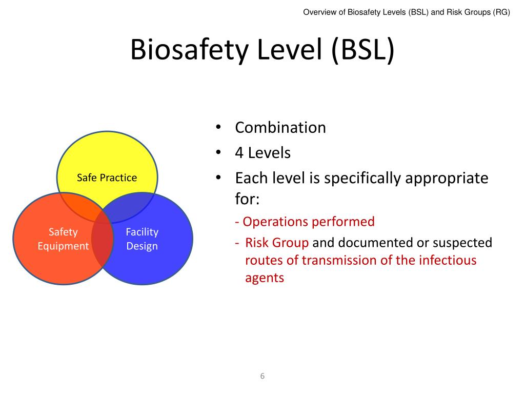 Of each level of the. Biosafety презентация. Live Foundation Biosafety Level 4.
