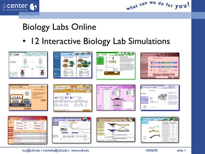 PPT - Biology Labs Online PowerPoint Presentation - ID:3794143