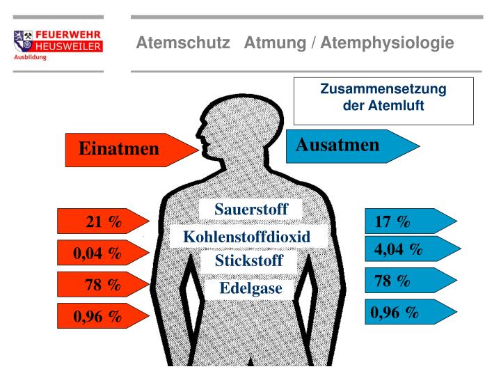 Wo Und Wie Lange Brennt Die älteste Glühbirne Der Welt PPT - Wie lange brennt das „Lebenslicht“ ? PowerPoint Presentation - ID