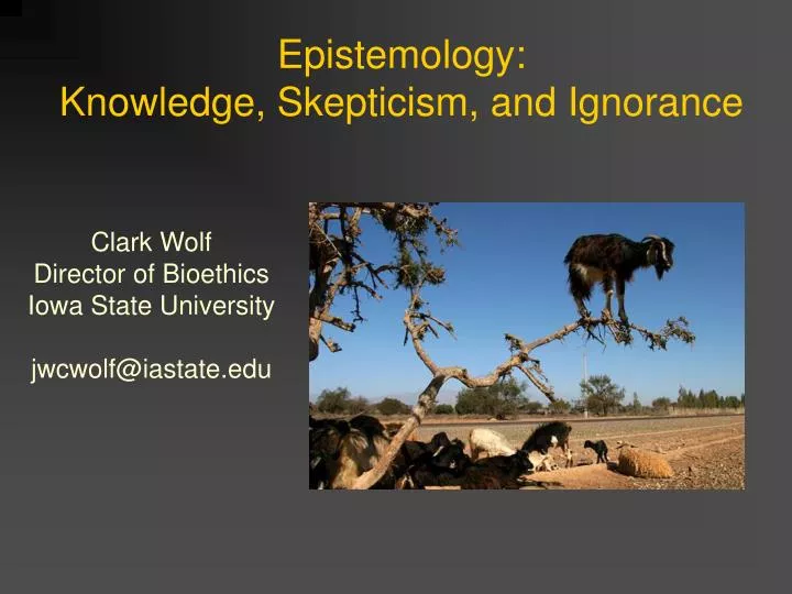 epistemology and skepticism Epistemological skepticism skepticism has posed one of the central challenges of epistemology opponents of skepticism--including externalists. epistemology and skepticism Epistemological skepticism skepticism has posed one of the central challenges of epistemology opponents of skepticism--including externalists.