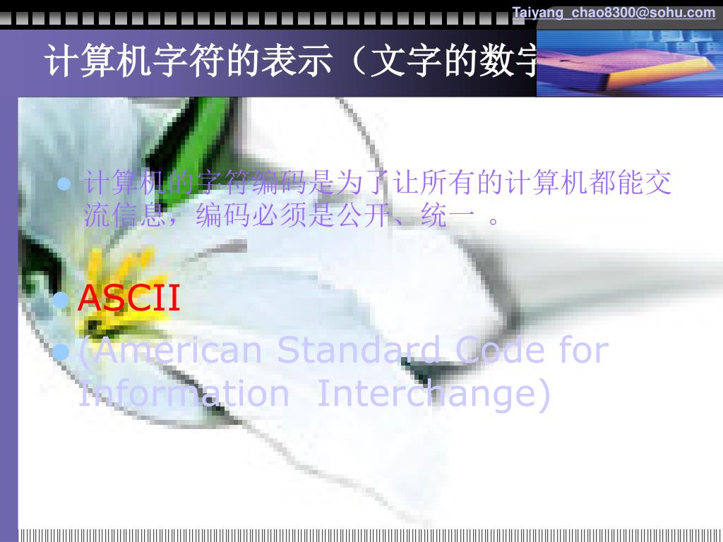 Ppt 信息技术总复习powerpoint Presentation Free Download Id Ppt 信息技术总复习powerpoint Presentation Free Download Id