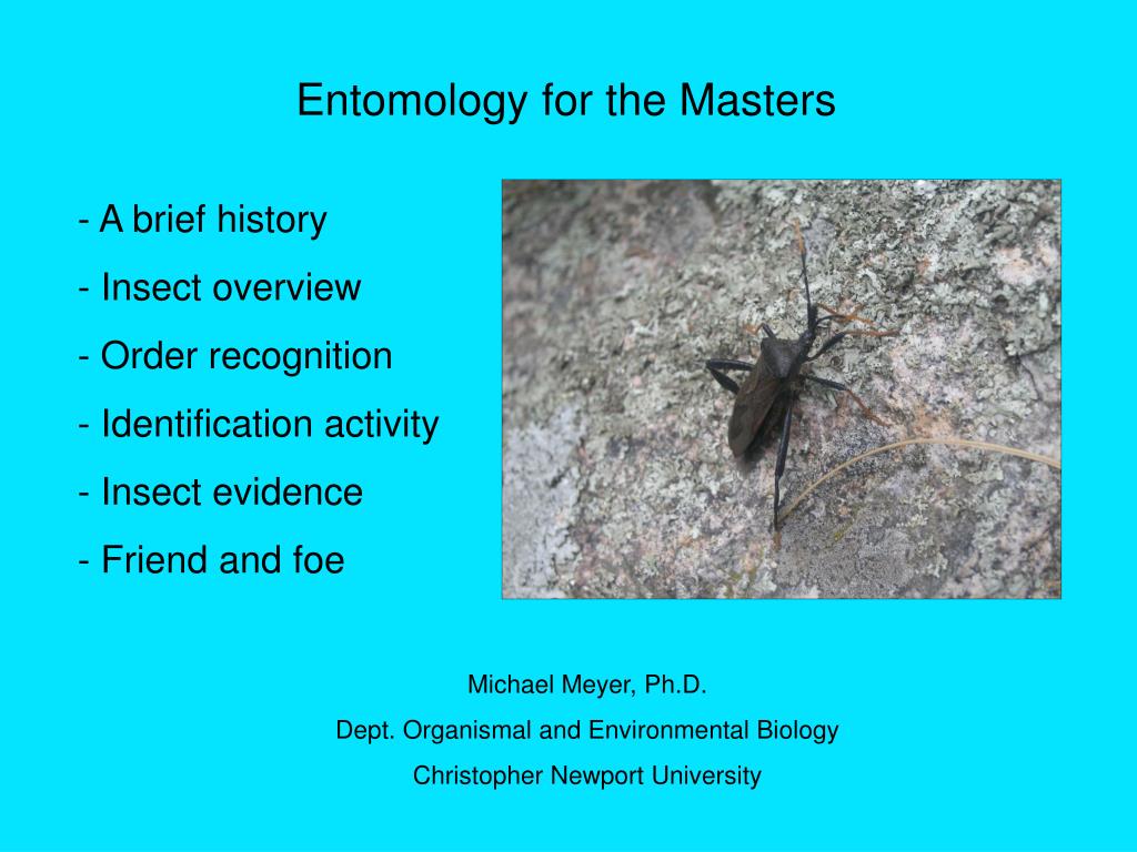 research proposal on entomology
