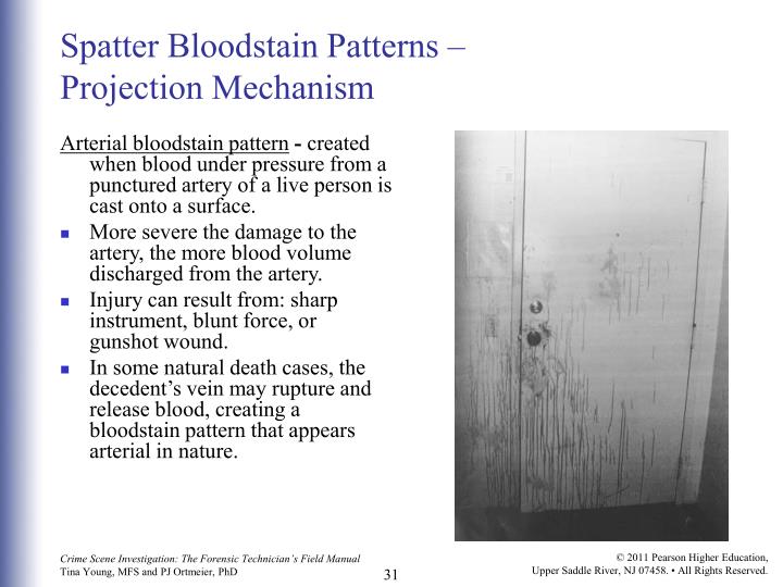 PPT - Chapter 11 BLOODSTAIN PATTERN DOCUMENTATION AND ANALYSIS ...