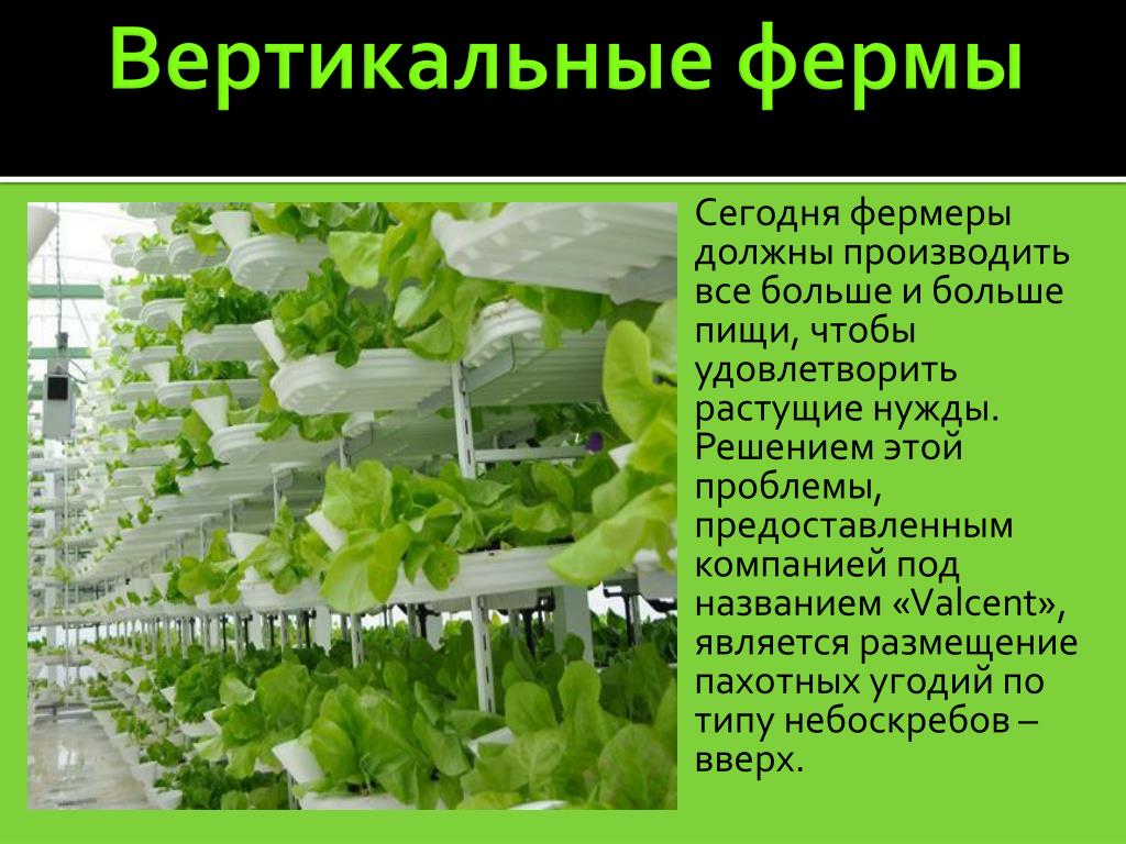 Вертикальная презентация