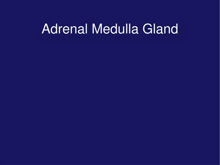 adrenal medulla gland n.