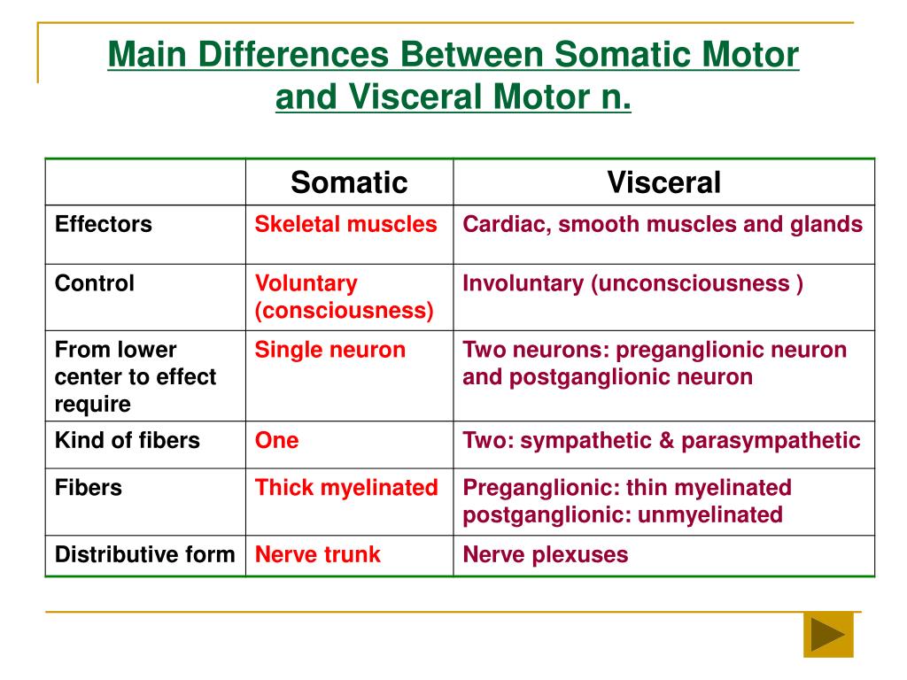 Visceral Somatic Chart