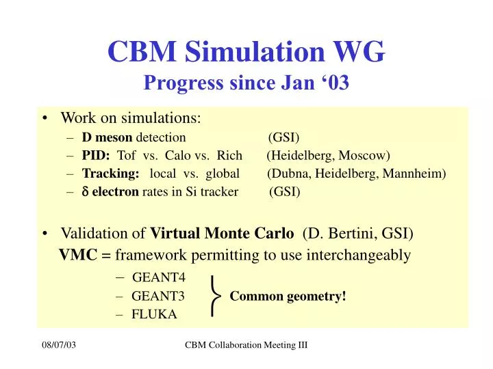 cbm simulation wg progress since jan 03 n.
