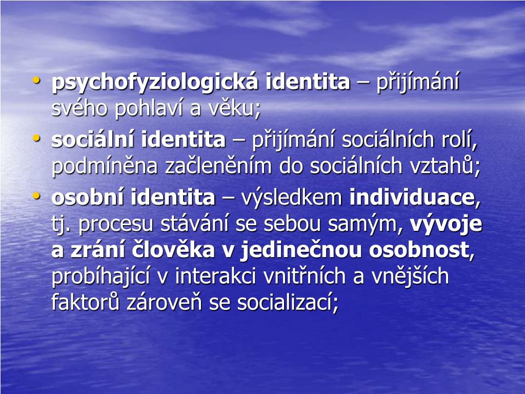 Co je sociální identita?