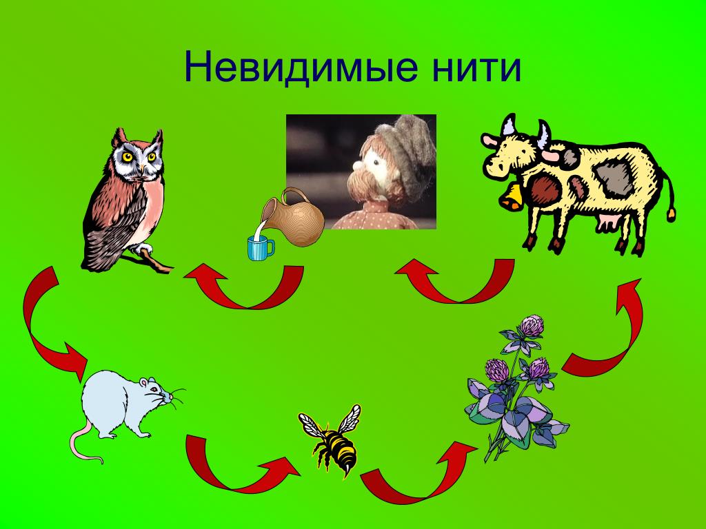 Связи с помощью моделей