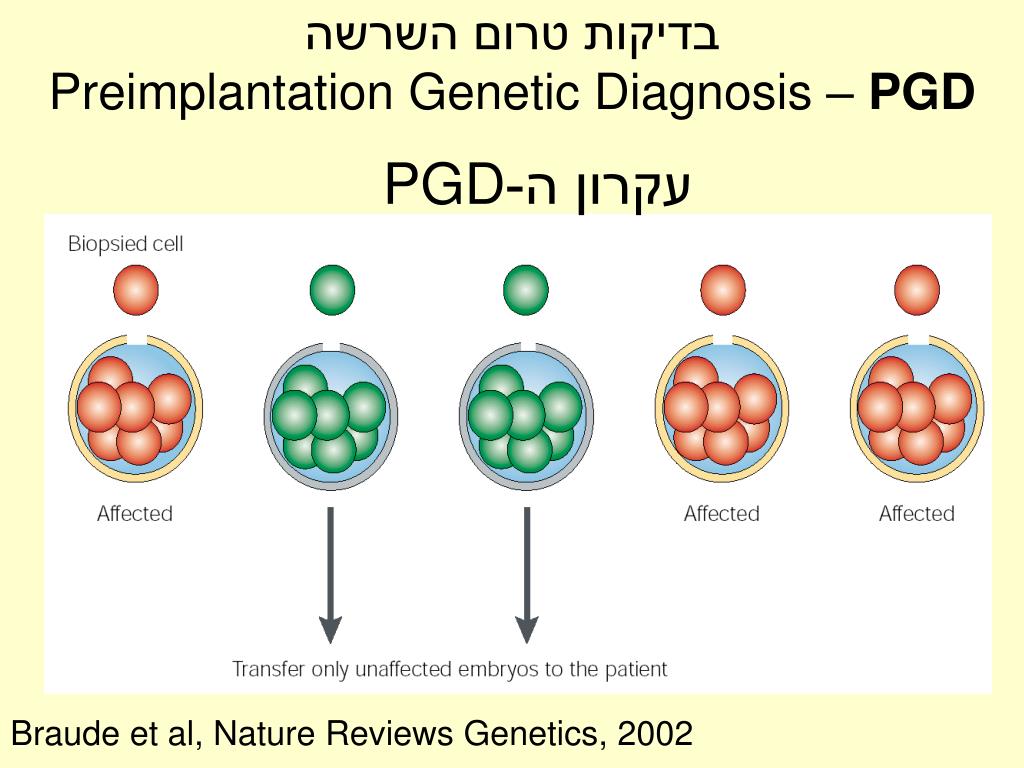 Cell effect. Preimplantation genetic diagnosis. PGD. Эмбрио тест генетико. Genetic  Testing and Screening Test.