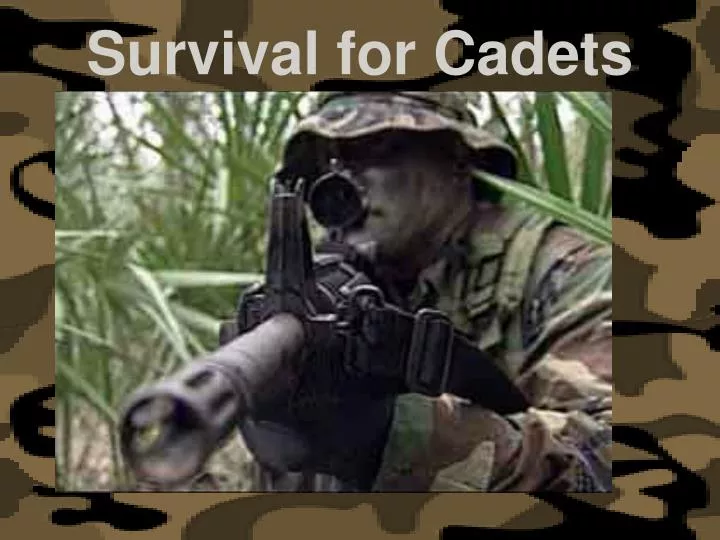survival for cadets n.