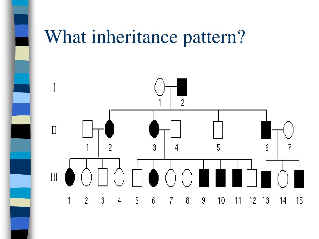 What Are The Four Complex Patterns Of Inheritance What Are The Four Complex Patterns Of Inheritance