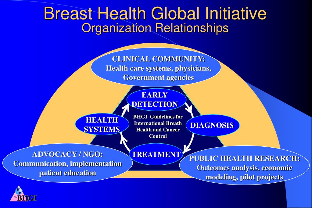 PPT - Breast Health Global Initiative Organization Relationships PowerPoint  Presentation - ID:3802795
