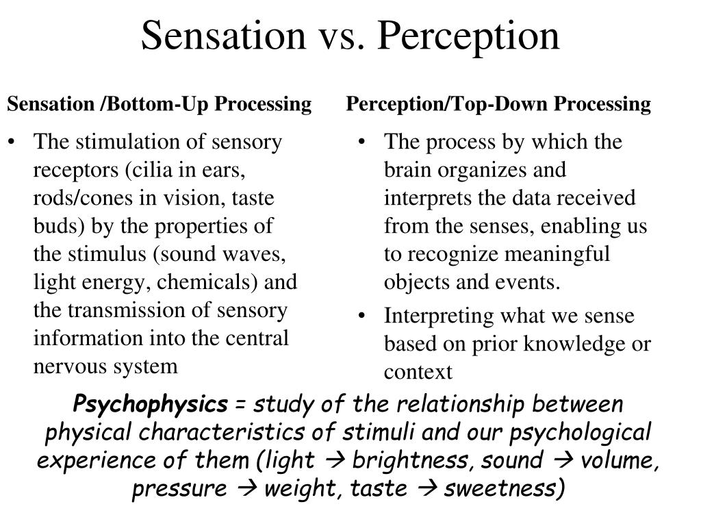 Sensation Perception 1