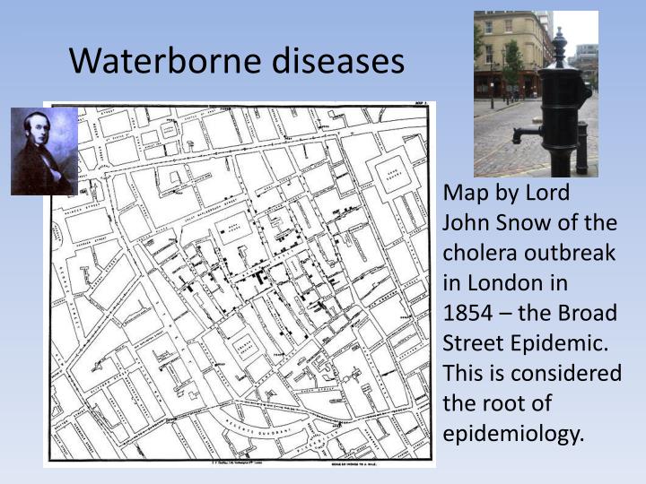 london ersus cholera catastrophe essay london ohydrates cholera increasing incidence essay