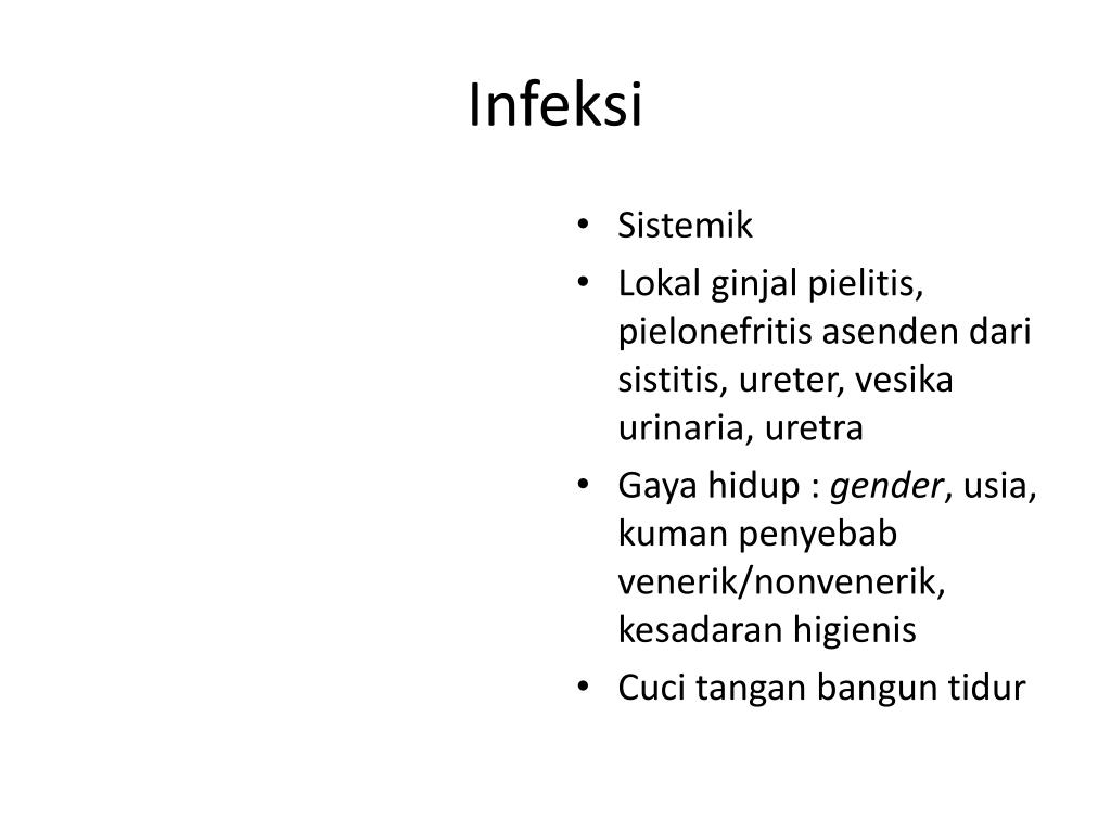 uretra urinaria