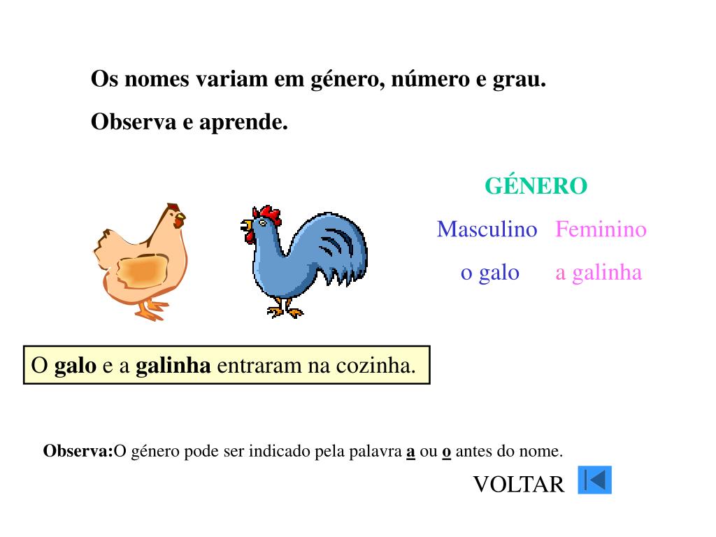 Gênero e Número