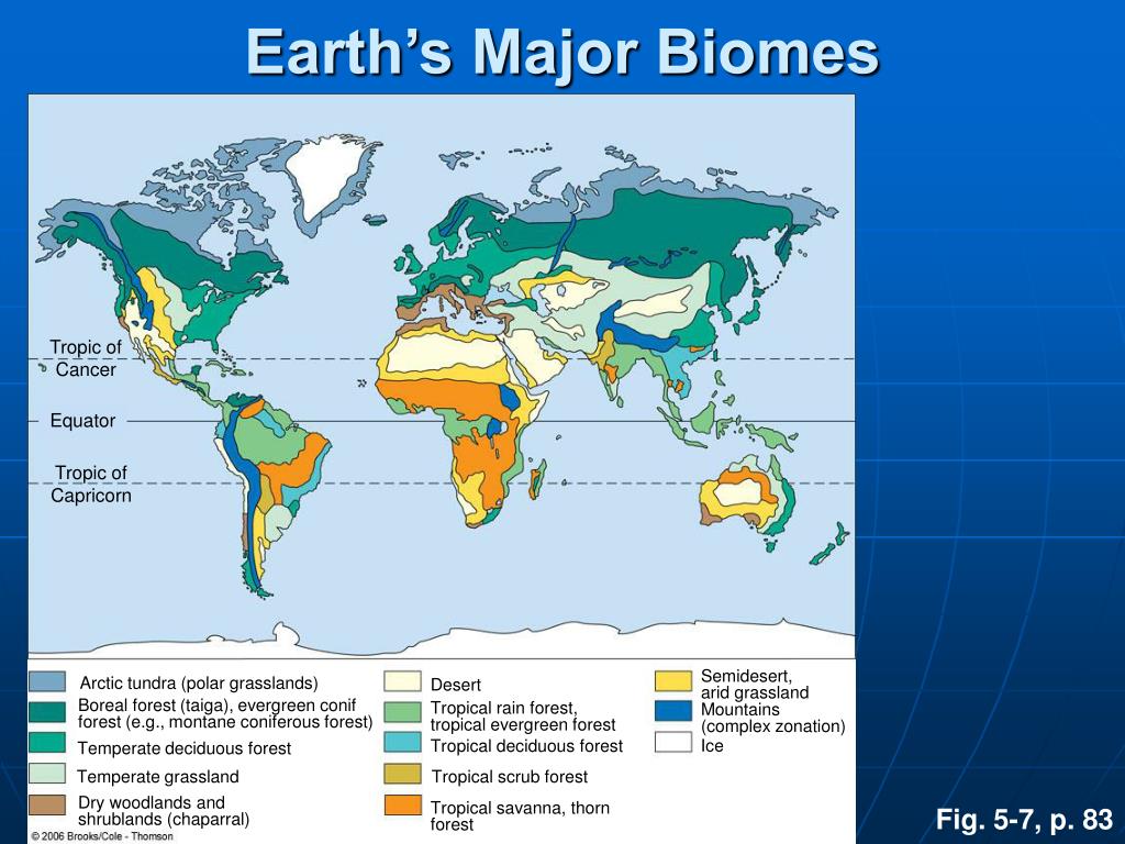 PPT - Climate and Biodiversity PowerPoint Presentation, free download - ID:3809783
