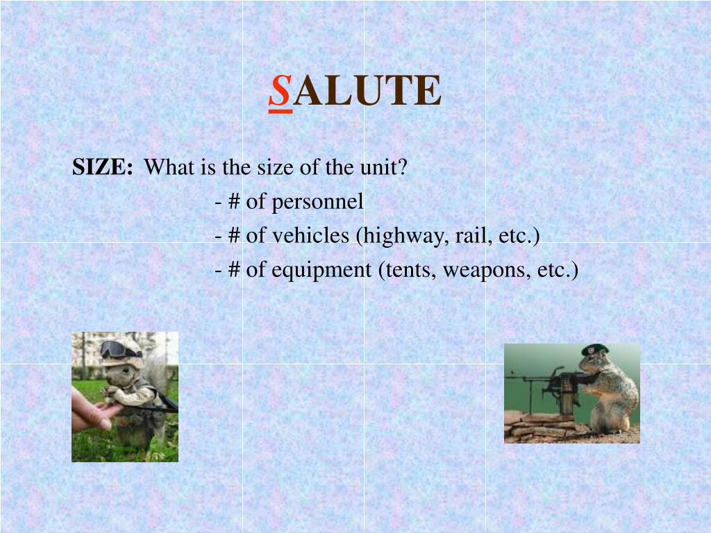 salute report