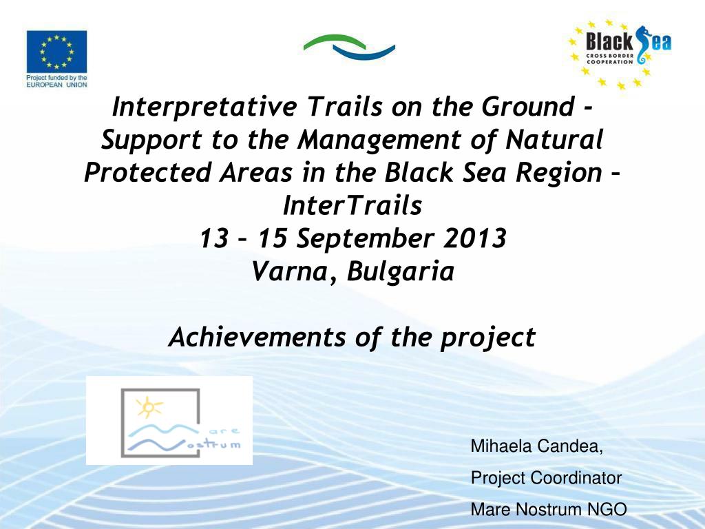 ppt mihaela candea project coordinator mare nostrum ngo project coordinator achievements