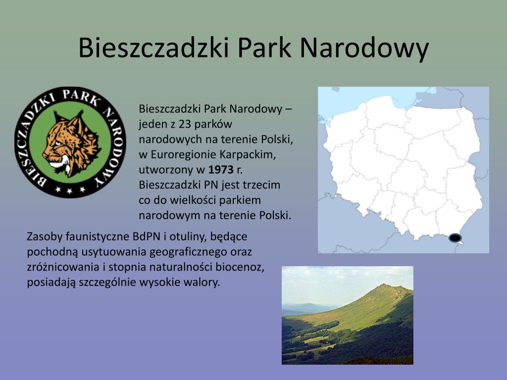 Parki Narodowe W Polsce Prezentacja Dla Dzieci PPT - PARKI NARODOWE W POLSCE PowerPoint Presentation, free download