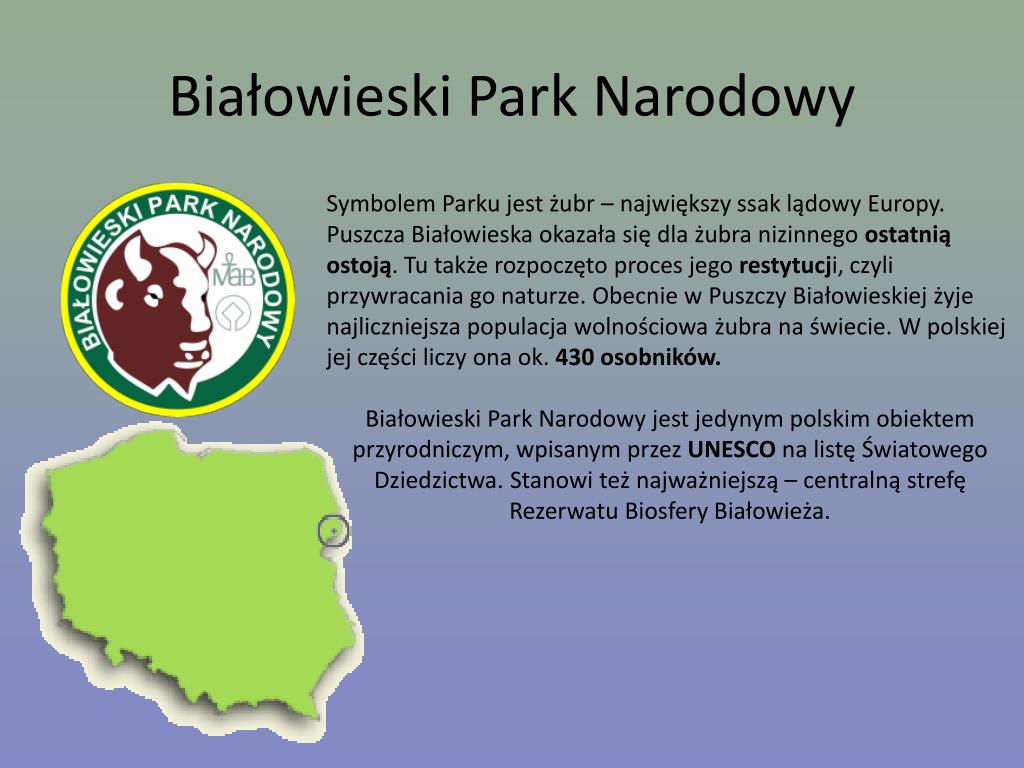 Parki Narodowe W Polsce Prezentacja Dla Dzieci PPT - PARKI NARODOWE W POLSCE PowerPoint Presentation, free download