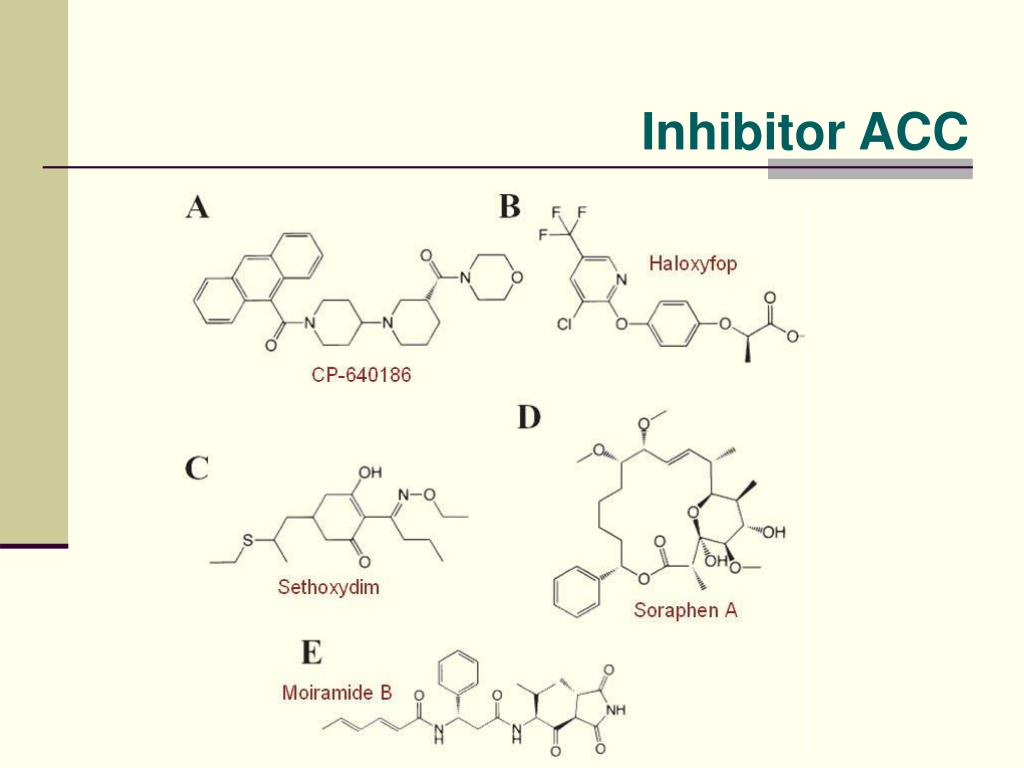 PPT - Acetyl Coenzyme A Carboxylase: Enzim Metabolisme yang Penting dan ...